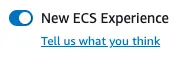 AWS ECS cluster configuration